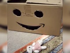 笑顔を浮かべるAmazonの箱　１秒後、人々は凍り付いた