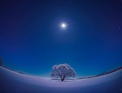 「まるで異世界みたい！」　北海道で撮影された４枚の『雪原と星空』に心奪われる