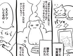 猫目線で描かれた漫画に飼い主が「ごめんなさい！」　これでも猫になりたい？