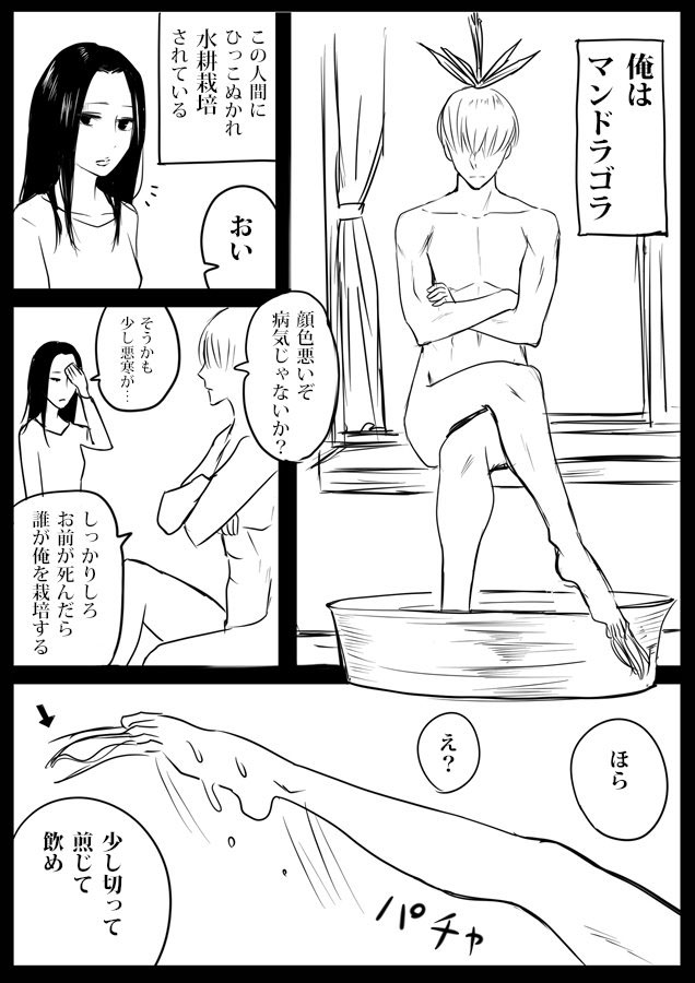 予測不能 マンドラゴラ を自宅で栽培する女性の漫画に 笑いが