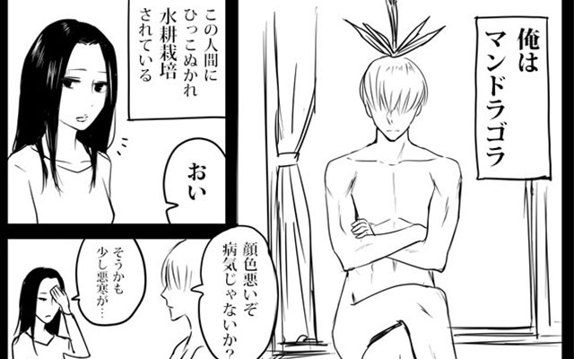 予測不能 マンドラゴラ を自宅で栽培する女性の漫画に 笑いが