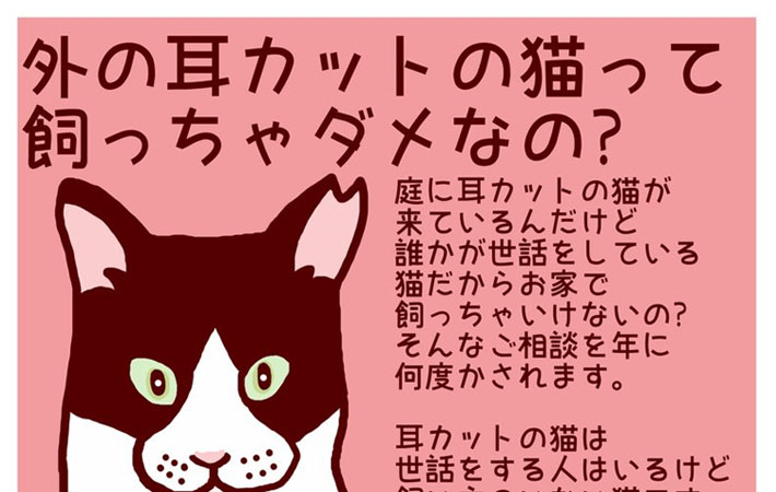 外の耳カットの猫って飼っちゃダメなの 野良猫を １匹でも幸せに Grape グレイプ