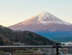富士山を撮影した写真をよく見ると？「繁栄しそう」「なんて縁起のいい」