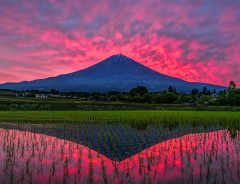 「まるで異世界」　朝焼けの富士山に心奪われる