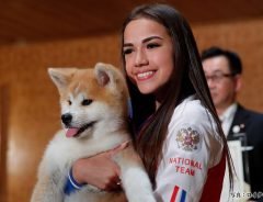 秋田犬のマサルがロシアに到着！　飼い主のザギトワ選手の対面は？