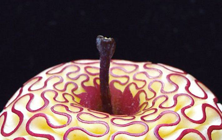 弁当に入っていたらビビるレベル 芸術的にカットされたリンゴが何かに似てる Grape グレイプ