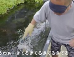 出川哲朗が水族館の夕涼みイベントを体験　公開された動画に「さすが」
