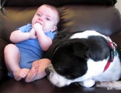 「うひゃあ！」赤ちゃんの隣にいた犬、即退散した理由とは？