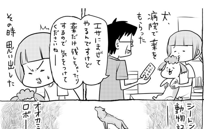 病院の薬を与えたら ２匹の異なる反応に 笑いがこみ上げる 犬と猫どっちも飼ってると Grape グレイプ