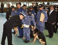 西日本豪雨で行方不明者を発見した警備犬、褒章状を授与！　副賞に「可愛い！」の声
