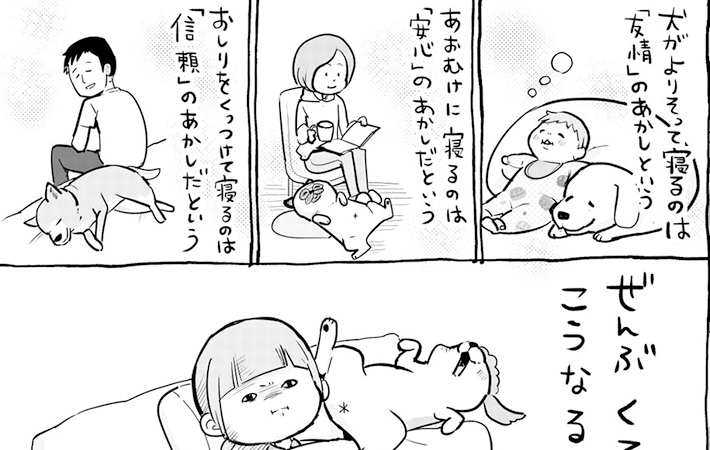 犬と猫どっちも飼ってると 眠る姿に ツッコまずにはいられない Grape グレイプ