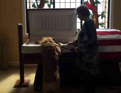 最愛の主人のお葬式で最後の別れをする犬　愛情あふれる仕草に涙が止まらない
