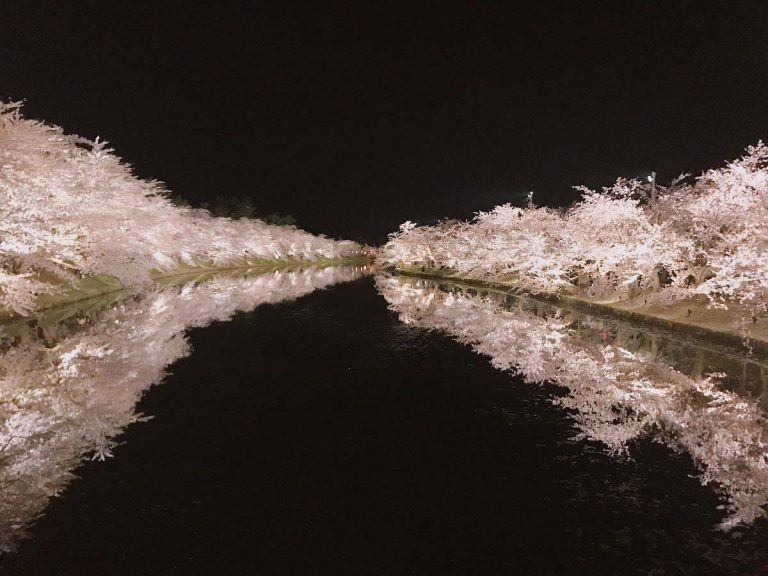 青森県で撮影された 夜桜 幻想的な光景が １０万人の心震わせる Grape グレイプ