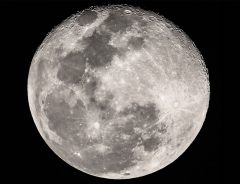 『月が縮んだ』とNASAが発表！　「皆既日食は？」「ウサギはどうなる？」の声