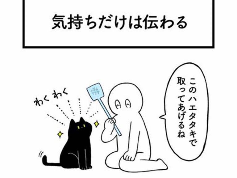 飼い主に助けを求めた猫 続く展開に 笑った めっちゃ分かる Grape グレイプ