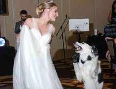 結婚式で花嫁と愛犬がダンスを披露　そのレベルの高さに度肝を抜かれる