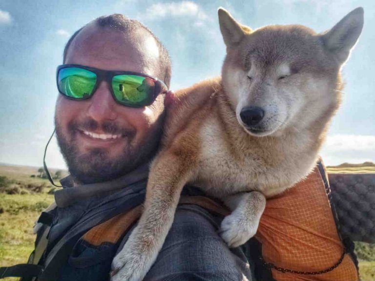 両目を失った愛犬のために 犬と一緒にハイキングをする男性 その理由に感動 Grape グレイプ