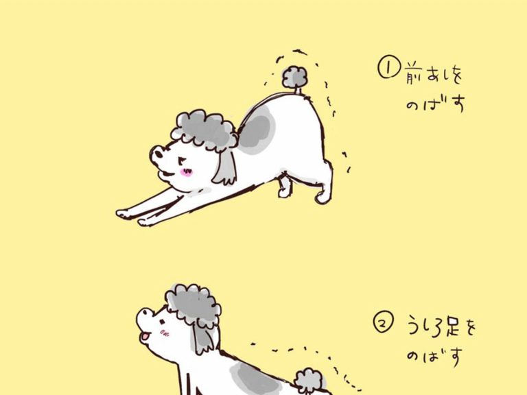 うちの犬の伸びかたです １枚のイラストに 飼い主から共感が殺到