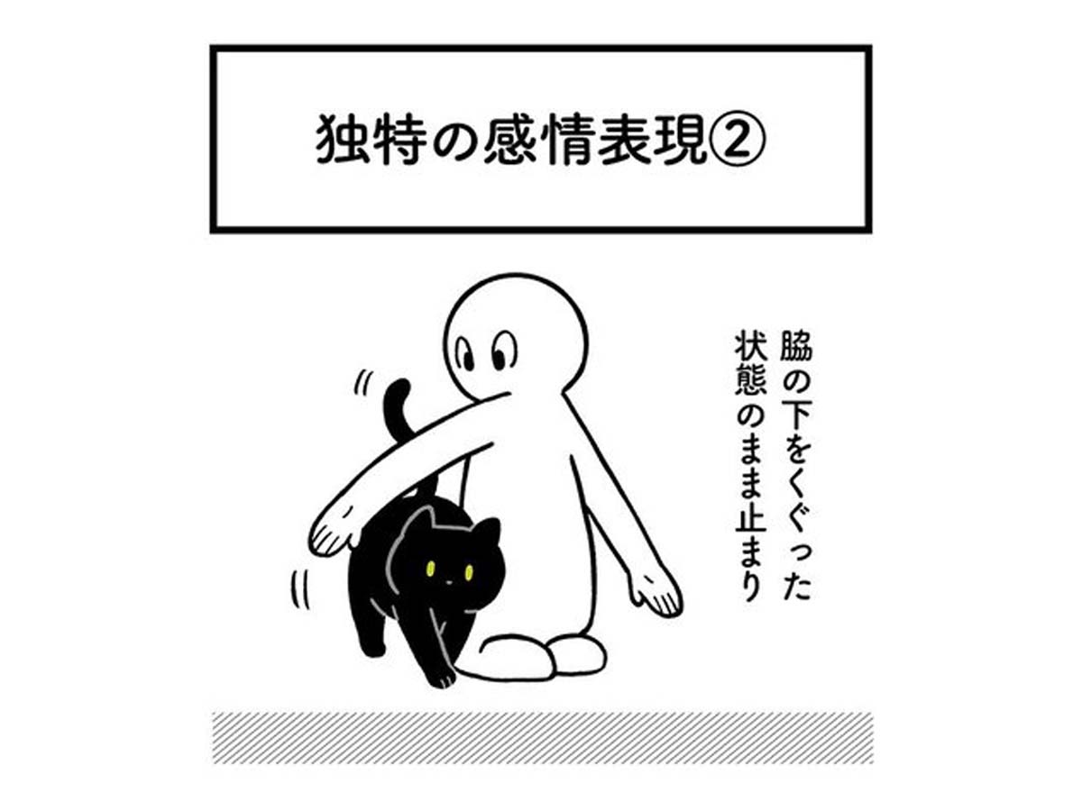 猫って何考えてるか分からん そう思っていた５年後の姿に反響 Grape グレイプ