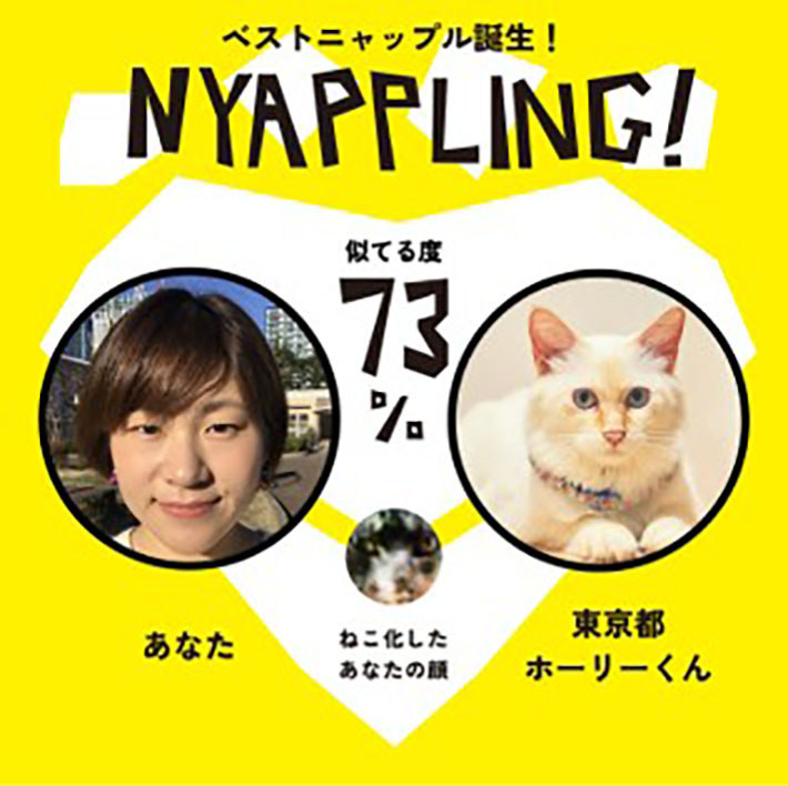 保護猫を飼いたい人への『マッチングアプリ』 繋がる相手は人間では 