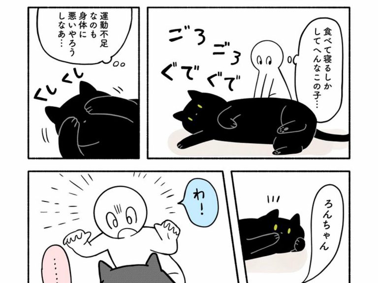 うちの猫 食べる寝るしかしないな 飼い主が鬼ごっこをしかけたところ Grape グレイプ