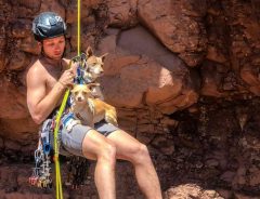 地上１８ｍの崖の途中に２匹の犬が　ロープ１本で救出した男性に拍手