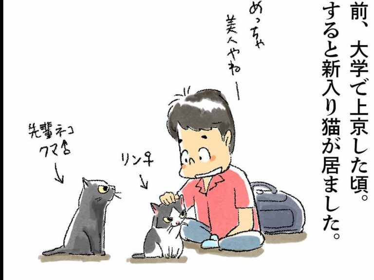 何回読んでも涙が出る 猫と暮らした２４年間描く漫画が ネットで反響 Grape グレイプ