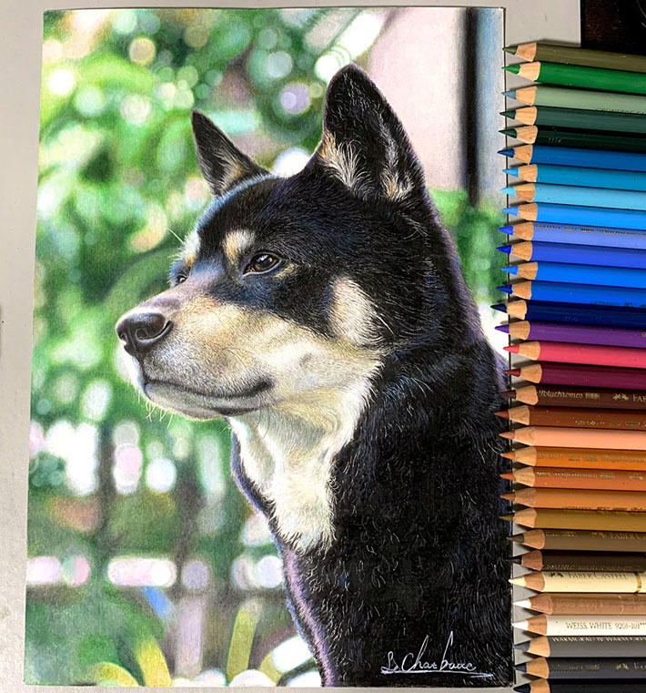 オンラインショップ 犬の絵 黒しば 色鉛筆画 サービス価格 絵画 - www 