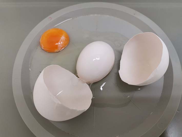これはレアすぎる 貴重な卵を写した ３枚 に ギョッ Grape グレイプ
