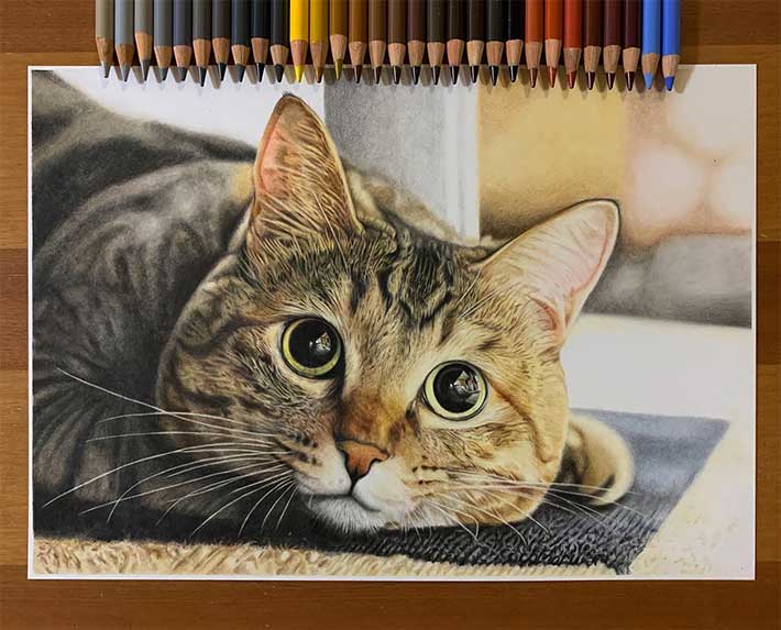 猫 色鉛筆画 ハチワレ A4サイズ 直送商品 - 絵画