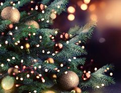 クリスマスツリーの飾りが動いた！　生木のツリーに隠れていたものにびっくり