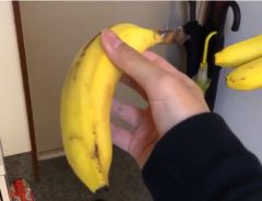 バナナを玄関に吊るすと…　Twitterに投稿された動画に、２７万イイネ！