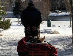 愛犬をカートに乗せ、真冬の公園を散歩する男性　その理由に涙が止まらない