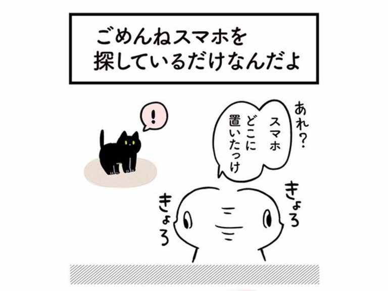 スマホを探していた飼い主 愛猫の 自意識過剰な行動 に ごめん Grape グレイプ