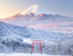 これぞ日本が誇る景色！　５万人の心が奪われた富士山の雪景色【全２枚】