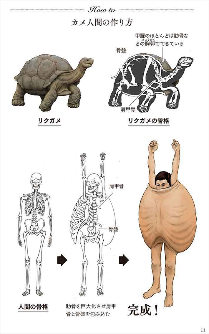 人間の身体を動物に当てはめると ちょっと奇妙な動物図鑑 Grape グレイプ