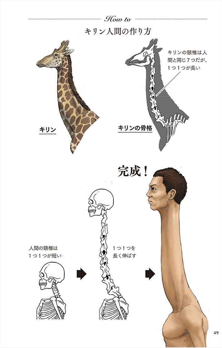 人間の身体を動物に当てはめると ちょっと奇妙な動物図鑑 Grape グレイプ