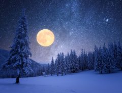 ２月は満月と水星が見られるチャンス　防寒をして空を見上げてみよう！