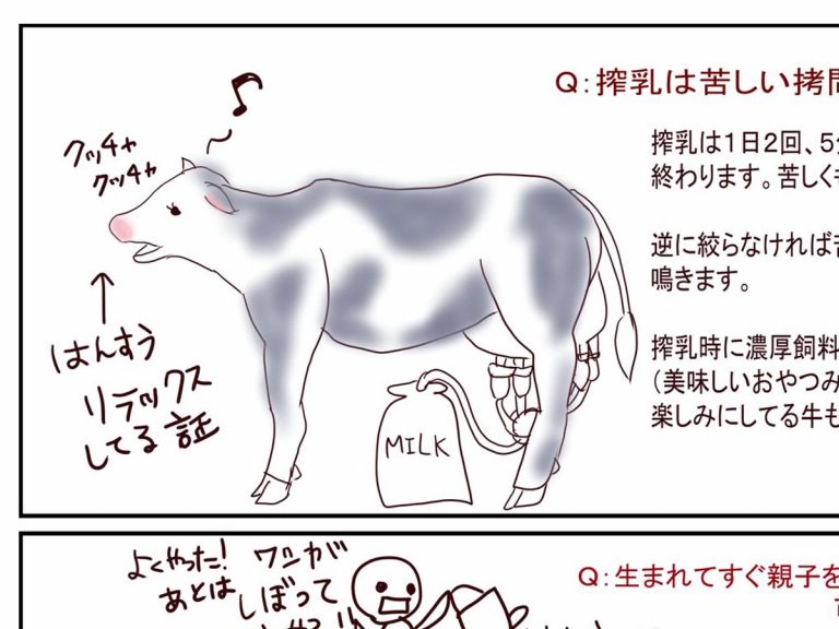 酪農は動物虐待だ に酪農家が反論 投稿に 考えさせられる 知らなかった Grape グレイプ