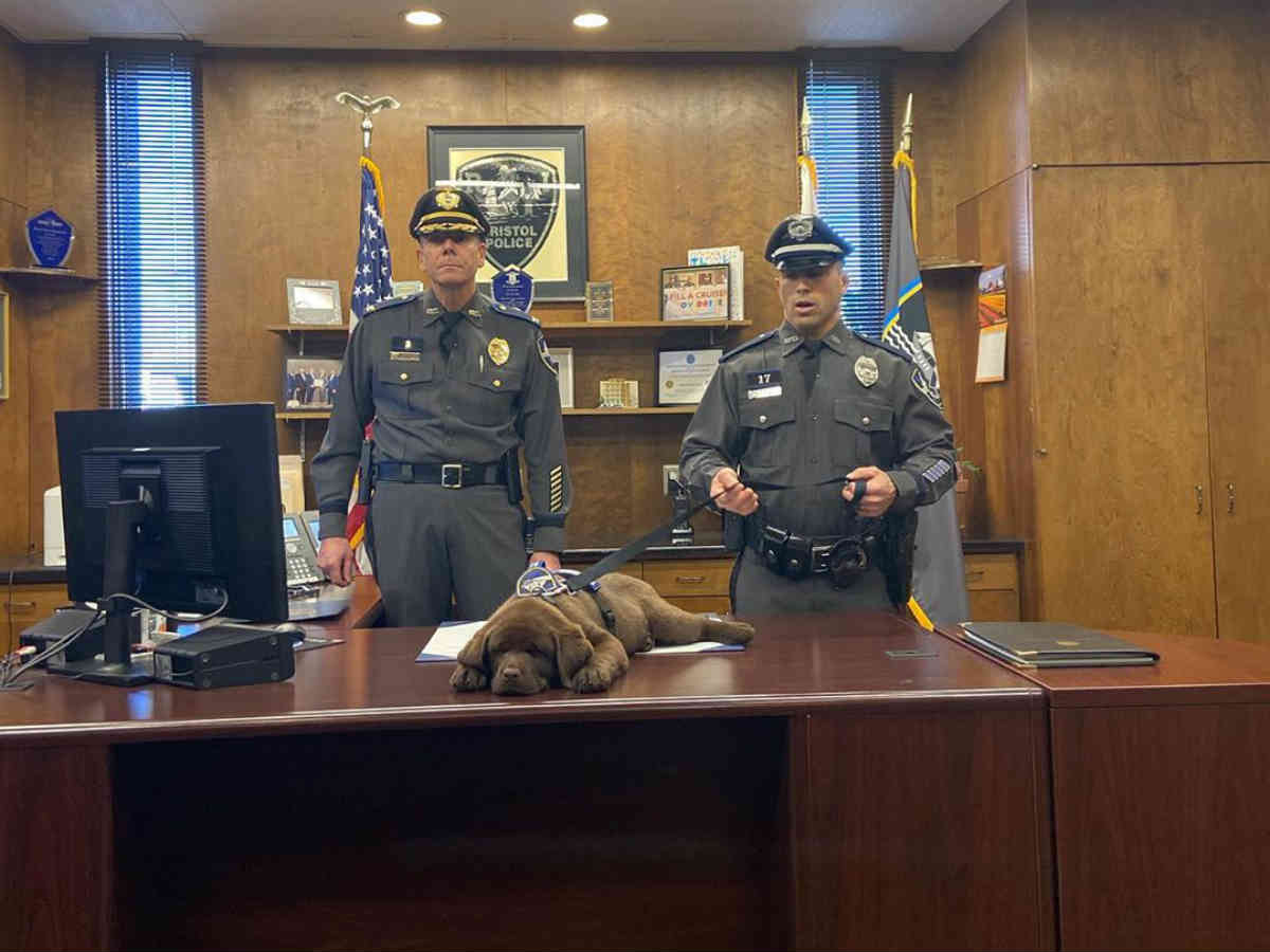 あまりのかわいさに動画シェア１千回超え 警察犬が自分の宣誓式で爆睡 Grape グレイプ