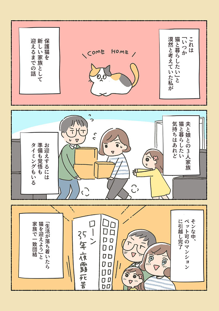 初めはペットショップに猫を探しに行った女性 しかし 虐待を受けていた保護猫に出会い Hellip 年6月6日 Biglobeニュース