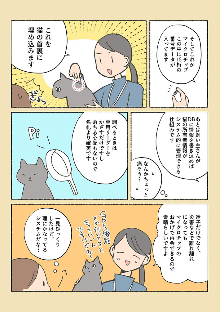 初めはペットショップに猫を探しに行った女性 しかし 虐待を受けていた保護猫に出会い Grape グレイプ