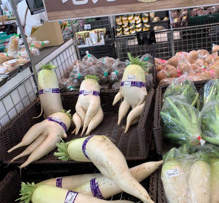 店員さん 狙ってやったな スーパーの野菜売り場に並ぶ大根たちが Grape グレイプ