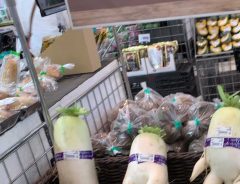 「店員さん、狙ってやったな」　スーパーの野菜売り場に並ぶ大根たちが…