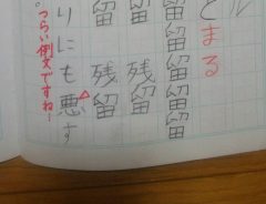 妹の宿題に「事実無根の風評被害」　兄が憤りを覚えた漢字の例文