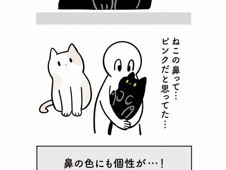 猫ちゃん 想像していたのと違う それぞれの個性に驚き Grape グレイプ