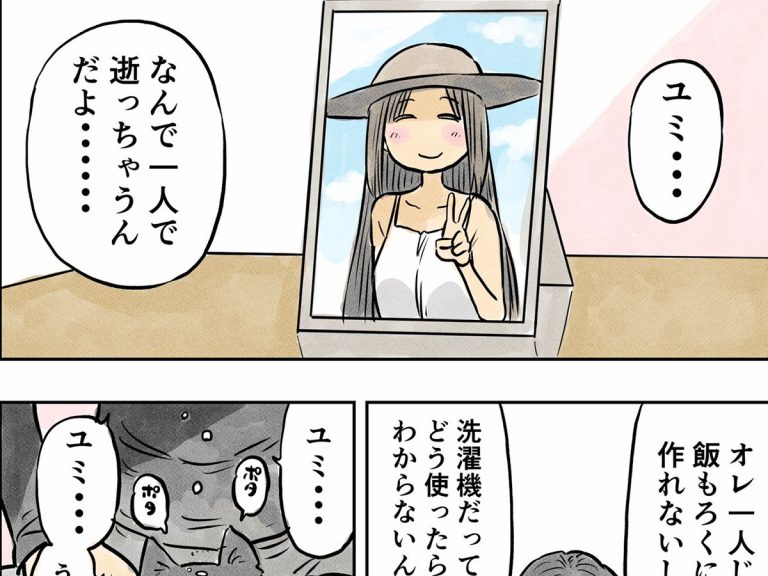 一週間だけ愛猫の体を借りて天国から戻ってきた女性 しかし 真実を知り涙腺崩壊 Grape グレイプ