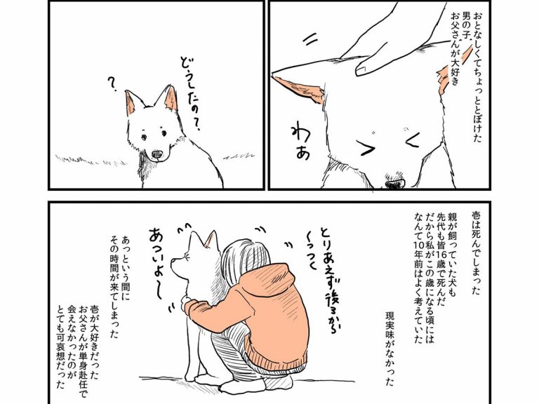 愛犬の死後に感じた 喪失感 飼い主の描いた漫画に 反響 泣いた 気持ち分かる Grape グレイプ