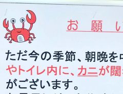 『江ノ電』で目にした最高の貼り紙に反響　「素晴らしい駅員」「守らざるを得ない…！」