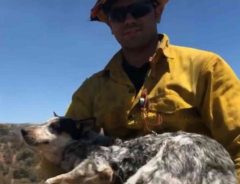 山火事の現場で消防隊員が迷い犬を保護　その後、無事に飼い主と再会する